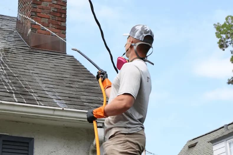 Painesville Power Washing professional performing gentle roof washing service in Painesville